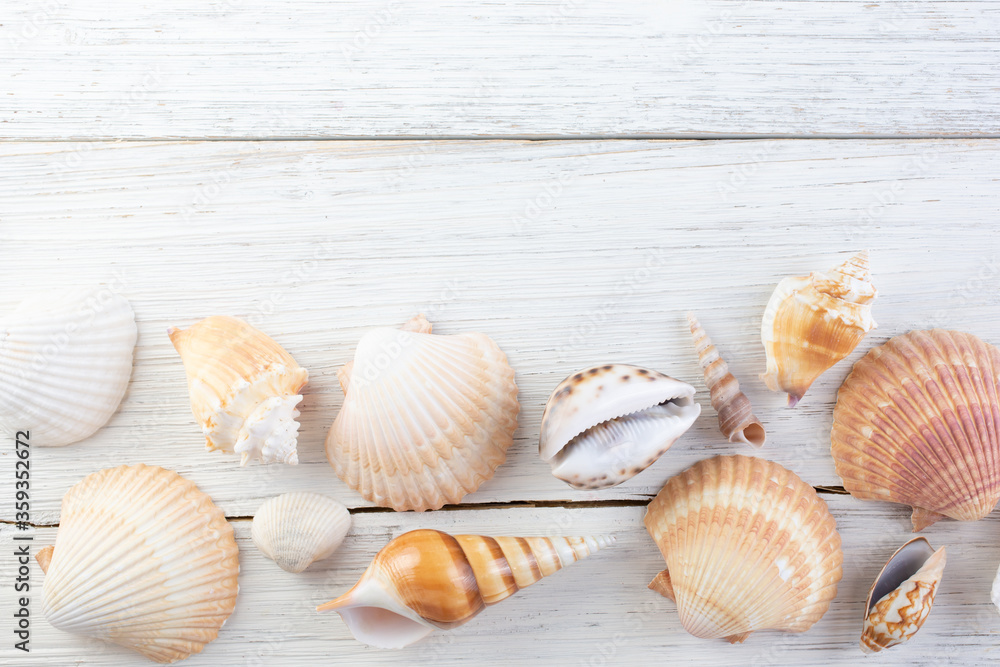 A top down view of a rustic wood surface with assorted tropical seashells