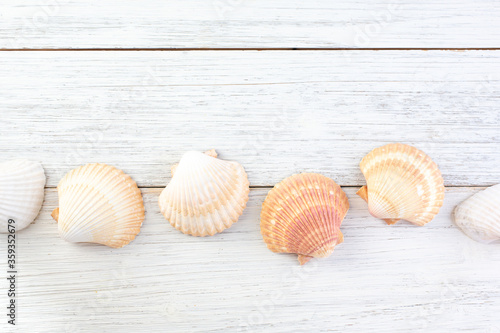 A top down view of several scallop seashells in a row, on a rustic wood surface, as a background image.