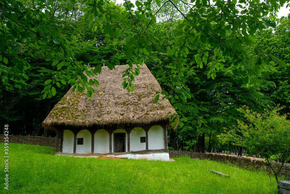 Fototapeta premium clay house with thatched roof