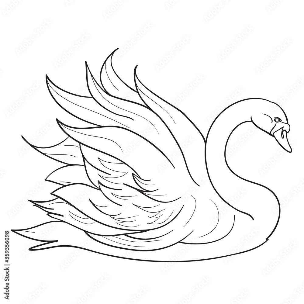 sketch of a beautiful swan with beautiful wings, coloring book, isolated object on a white background, vector illustration, sketch of a beautiful swan with beautiful wings, coloring book, isolated object on a white background, vector illustration,