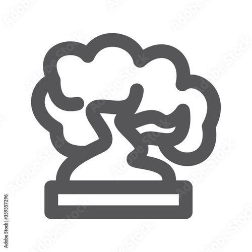 bonsai tree