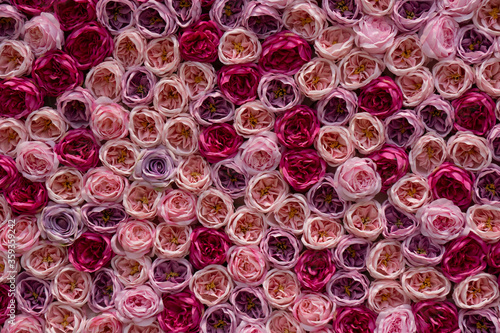Background made of many bouquets of roses.