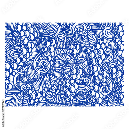 Grape and vine hand drawn vector illustration. Grapevine engraving style drawing. Part of set.