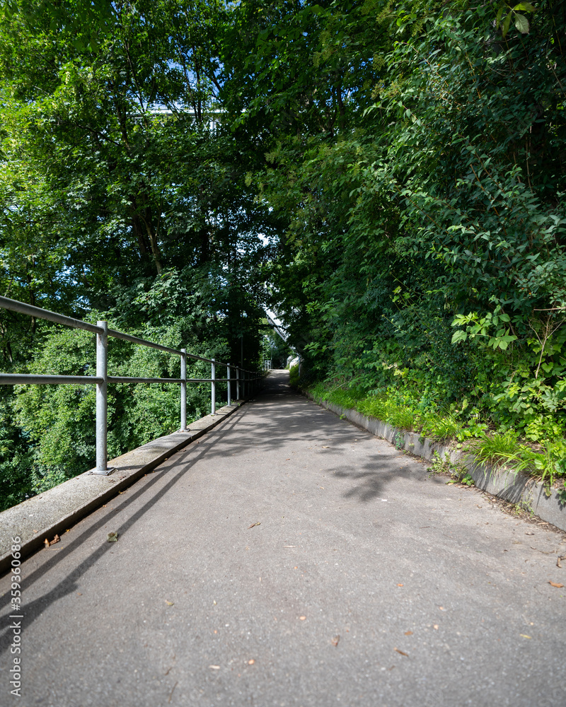 Weitwinkelansicht auf ein Waldstück in Bern Weitwinkelansicht auf ein Waldstück in Bern