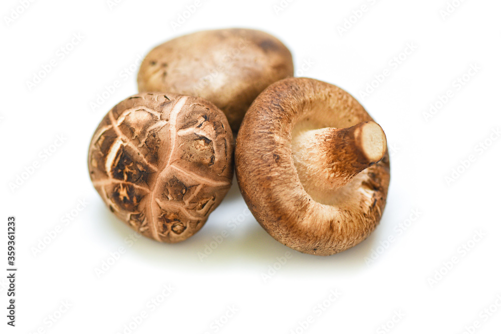 Fresh mushrooms isolated on white background - Shiitake mushrooms Fresh mushrooms isolated on white background - Shiitake mushrooms