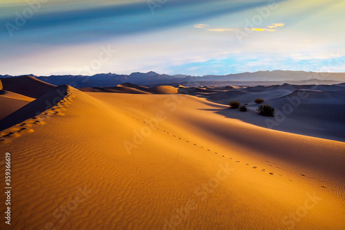  Mesquite Flat Sand Dunes