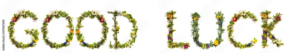 Flower, Branches And Blossom Letter Building English Word Good Luck. White Isolated Background Flower, Branches And Blossom Letter Building English Word Good Luck. White Isolated Background