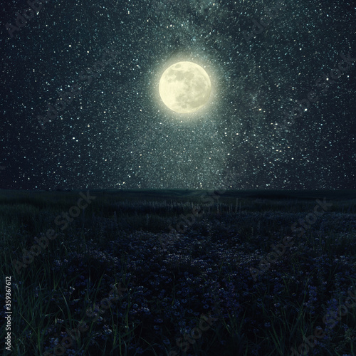 Night landscape with floral meadow