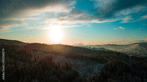 Fototapeta Naklejka Na Ścianę i Meble -  Carpathian mountains winter. Snow coniferous forest at sunset.