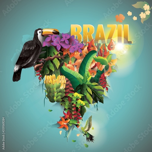 brazil text with toucan and forest
