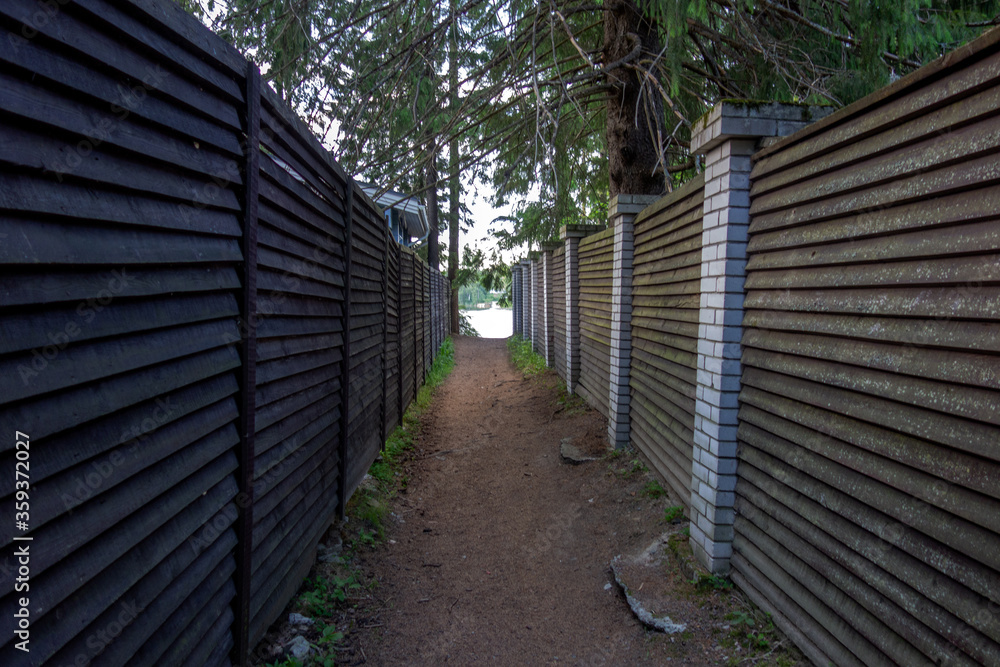 Dacha fences made of wood, the road between the fences