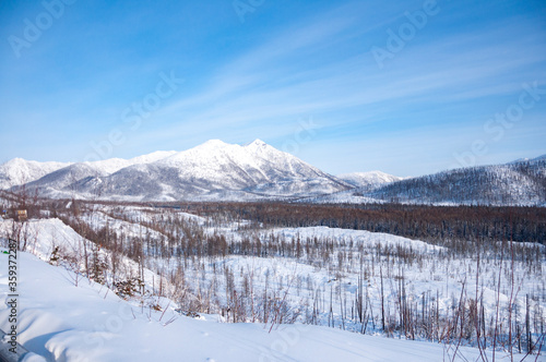 Scenic winter landscape of mountains and forest covered in snow on sunny day on the Kolyma Highway (Road of Bones). Adventure travel in Russia from Yakutsk to Magadan