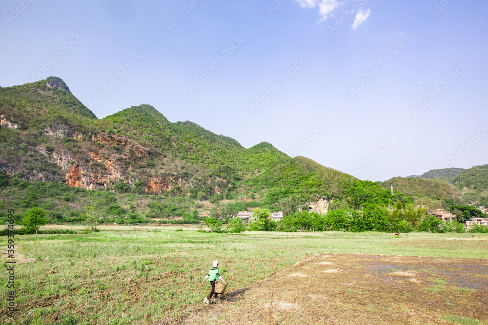 Fototapeta premium A femle Chinese farmer walking in the meadow of the mountains.