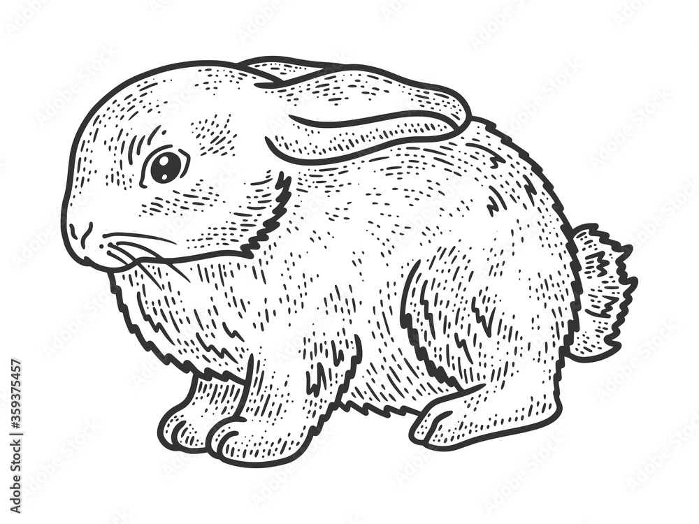 little rabbit sketch raster illustration little rabbit sketch raster illustration