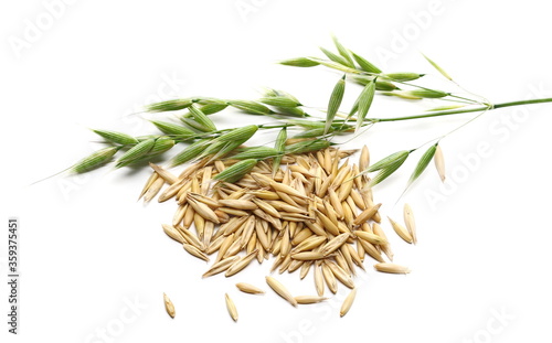 Green and yellow oat ears and groats, plant with stem pile isolated on white background