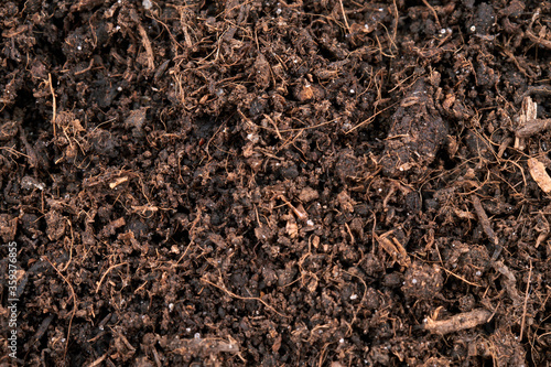 Macro texture of fertile soil as background