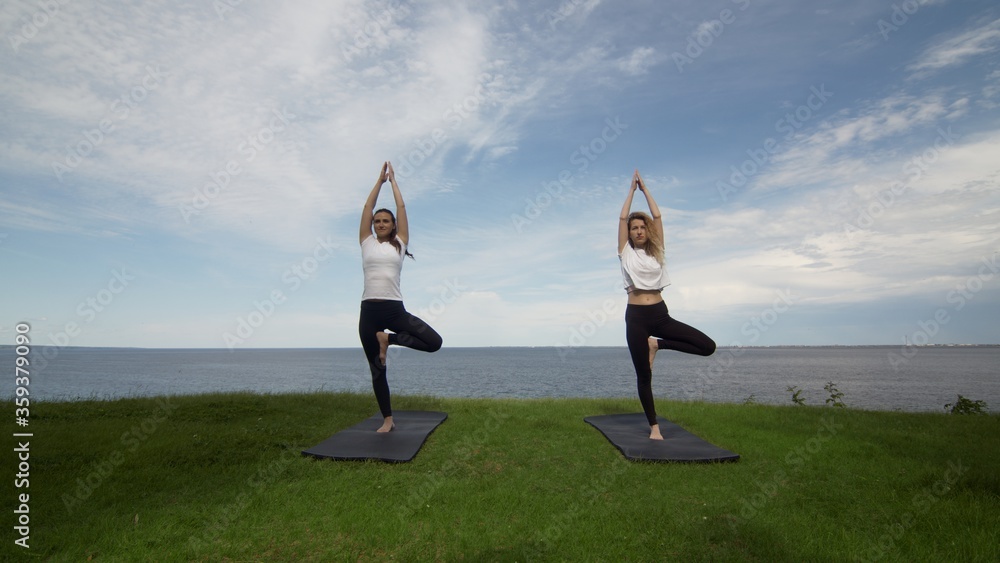 Two women in activewear practise yoga doing Tree pose Vrksasana Vriksasana standing on mat on the of edge of coast near the sea Two women in activewear practise yoga doing Tree pose Vrksasana Vriksasana standing on mat on the of edge of coast near the sea