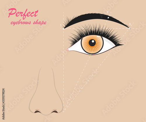 Perfect Eyebrow Scheme Banner Concept Ad Poster Card. Vector