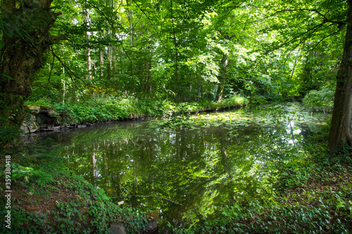 Domaine de Windeck in Ottrott im Elsass