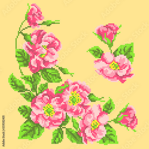 vector illustration flowers 