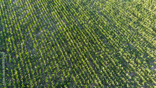 Modena countryside cultivated photo with drone photo