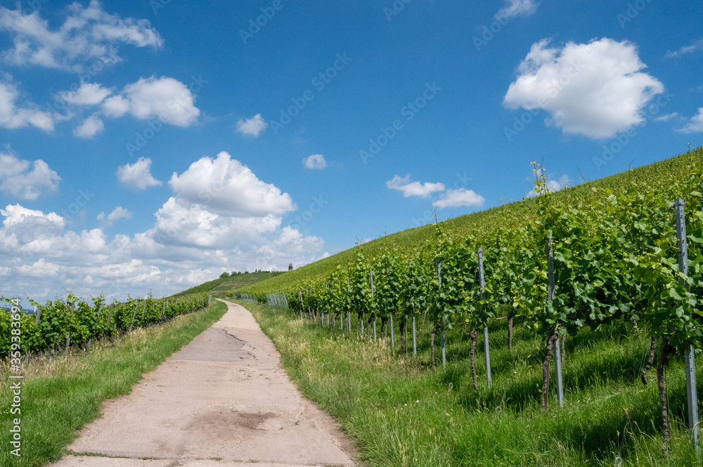 road in the field