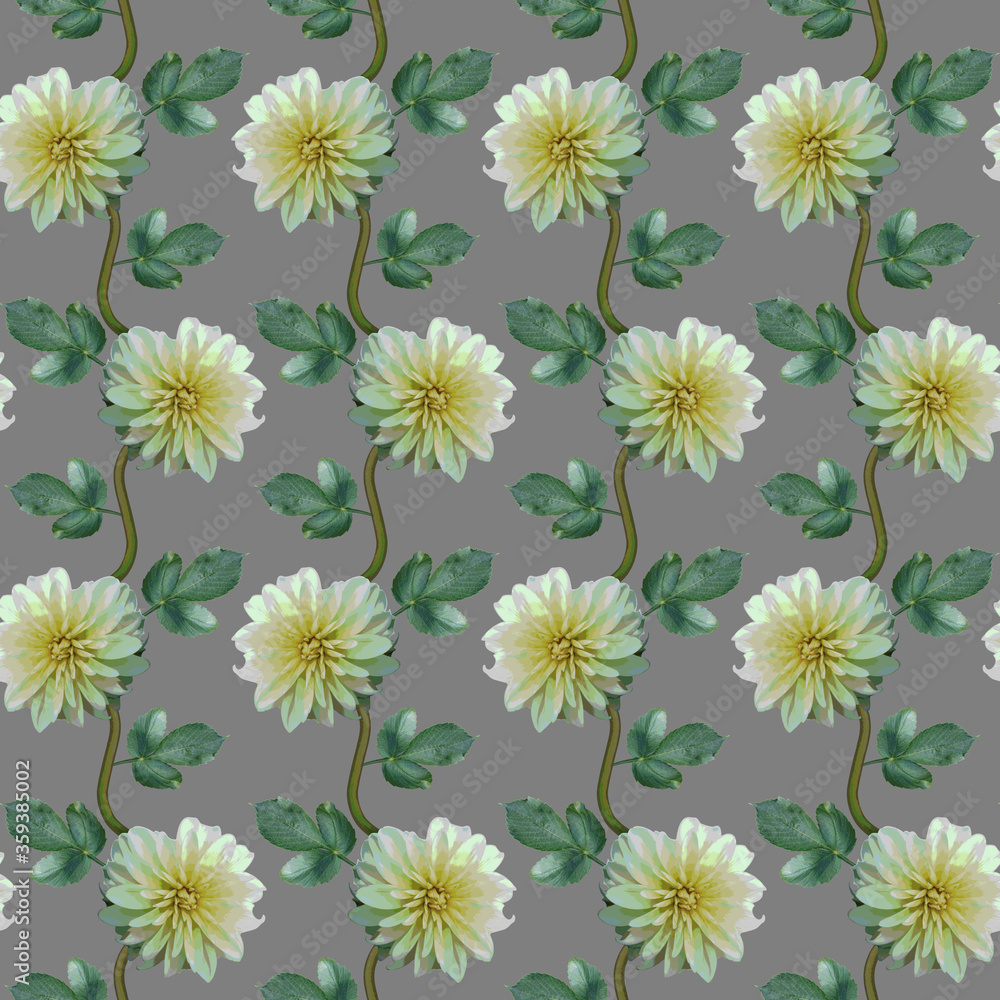 Seamless pattern with white Dahlia flowers and green leaves on grey background. Endless floral texture. Raster illustration. Seamless pattern with white Dahlia flowers and green leaves on grey background. Endless floral texture. Raster illustration.