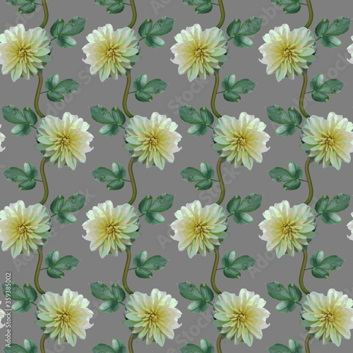 Seamless pattern with white Dahlia flowers and green leaves on grey background. Endless floral texture. Raster illustration.