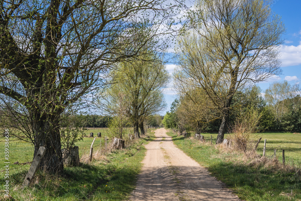 Unpaved road among fields and meadows in Wegrow County located in Mazowsze region of Poland