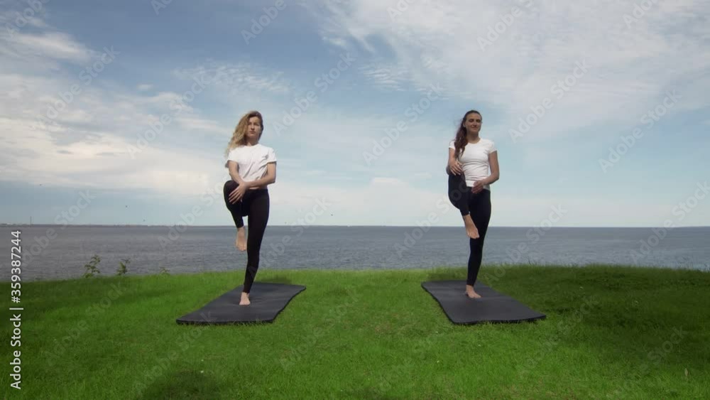 Two women in activewear practise yoga doing Tree pose Vrksasana Vriksasana standing on mat on the of edge of coast near the sea Two women in activewear practise yoga doing Tree pose Vrksasana Vriksasana standing on mat on the of edge of coast near the sea