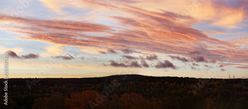 Dawn sky over the forest and birds flying over the trees