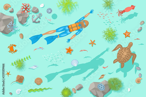 Vector illustration. Diving at the bottom of the sea. (Top view) Diver, rocks, fish, turtle, crab, stars, shells. (View from above)
