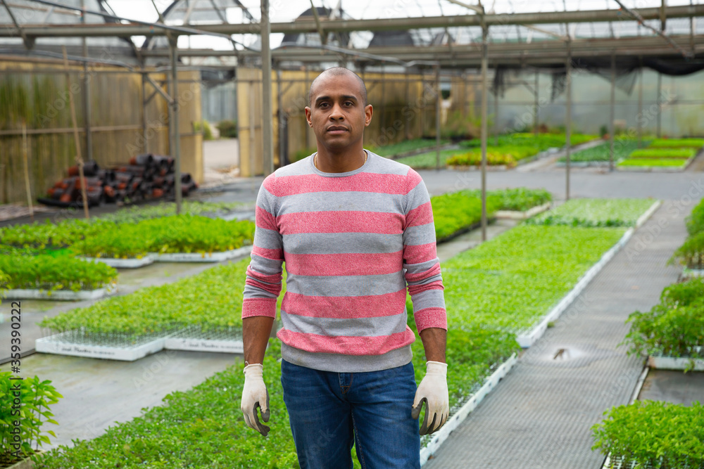 Obraz premium Confident successful Hispanic owner of greenhouse indoors
