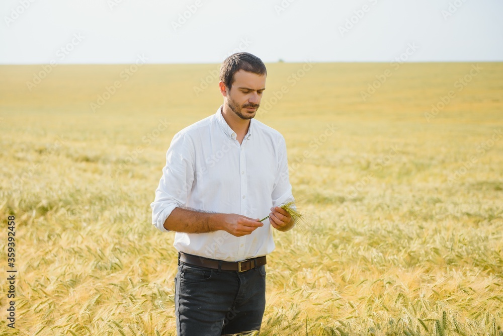 Portrait of handsome man standing in wheat field