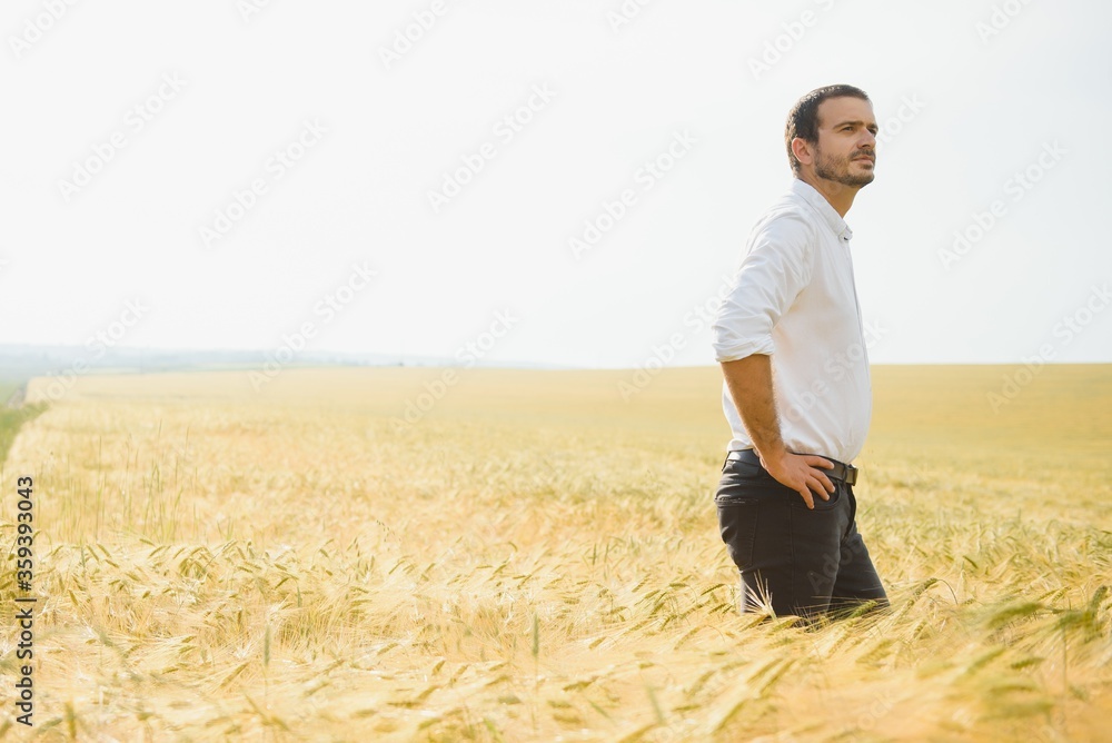 Portrait of handsome man standing in wheat field Portrait of handsome man standing in wheat field