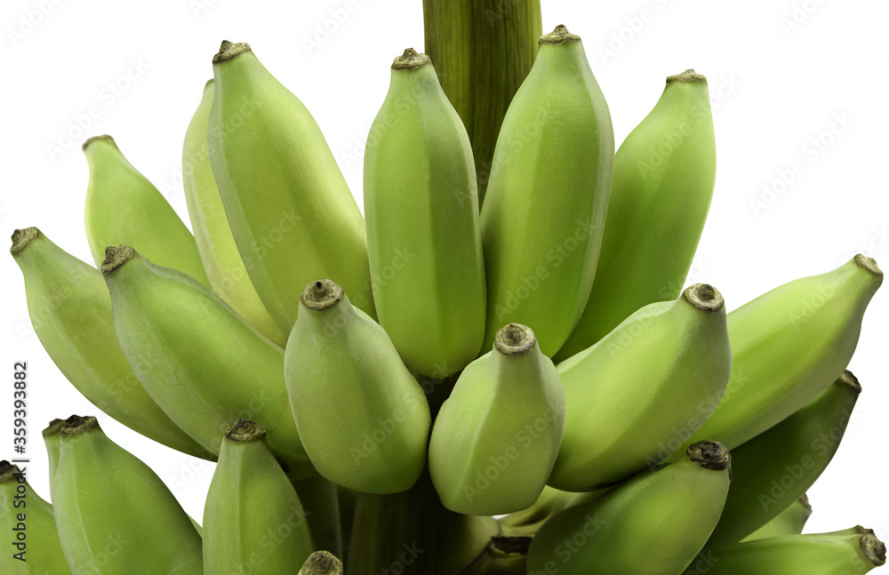 Bunch of banana on white background.