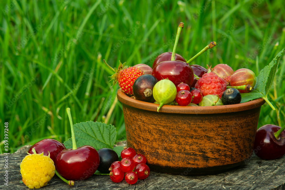 Ceramic bowl with fresh berries on an old stump in the garden. Ceramic bowl with fresh berries on an old stump in the garden.