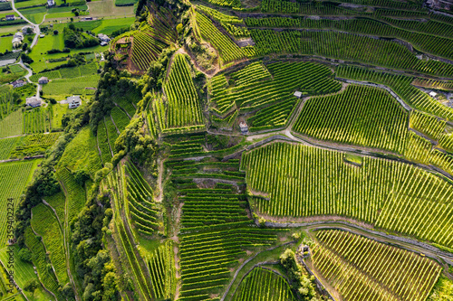 Valtellina (IT) - vineyards and terraces in the Tresivio area