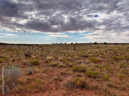 clouds over the field