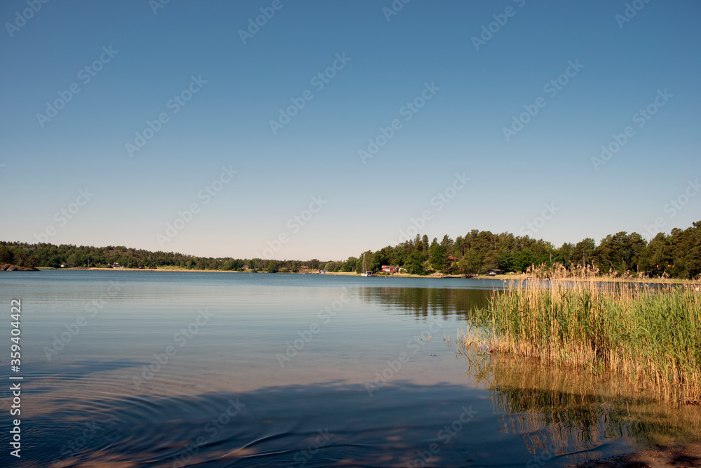 lake in the summer, stockolm, värmdö,sweden