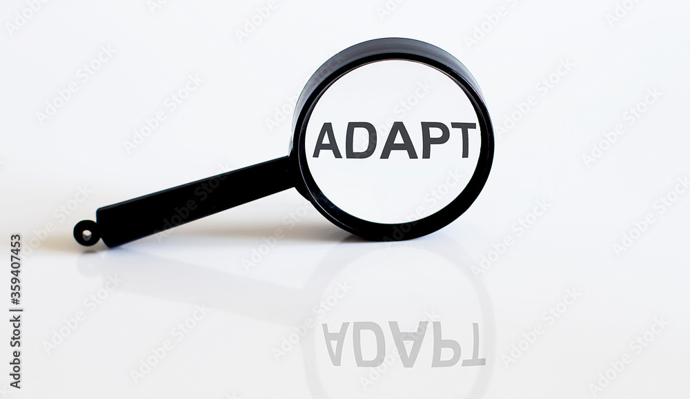 Magnifier with text ADAPT on the white background Magnifier with text ADAPT on the white background