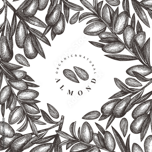 Hand drawn sketch almond design template. Organic food vector illustration. Vintage nut illustration. Engraved style botanical background.