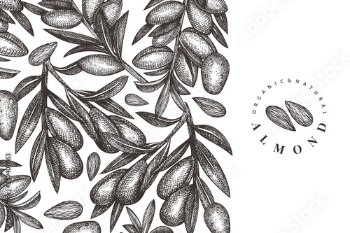 Hand drawn sketch almond design template. Organic food vector illustration. Vintage nut illustration. Engraved style botanical background.