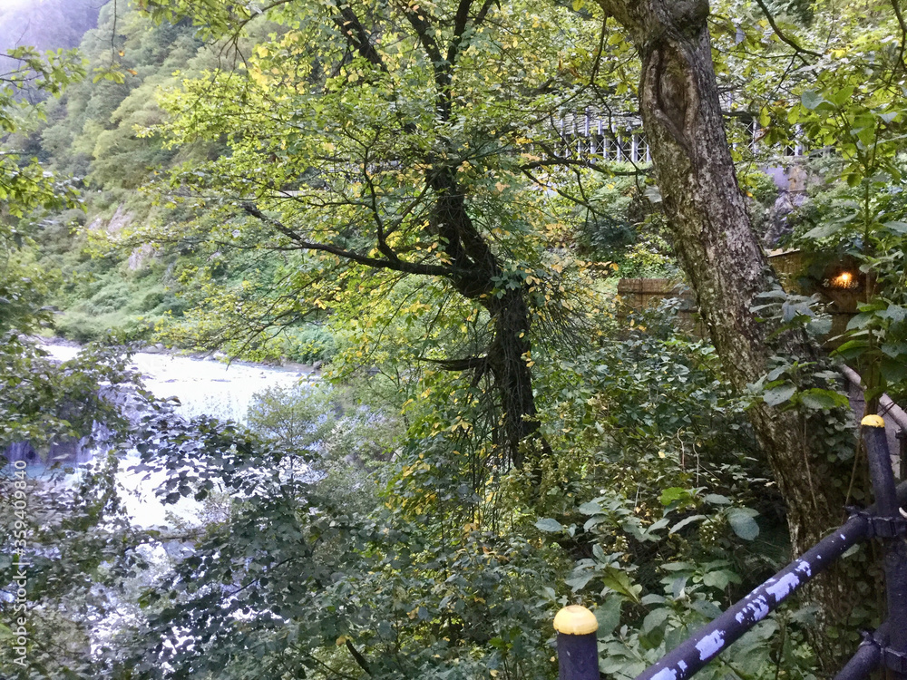 Fototapeta premium Scenery along the Kurobe River in the Kurobe Gorge