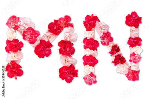 flower font alphabet M N set  collection A-Z   made from real Carnation flowers pink  red color with paper cut shape of capital letter. flora font for text  typography decoration isolated on white