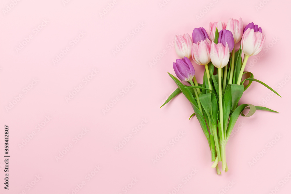 Pink tulips over pink background