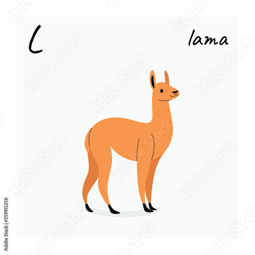 Cute lama - cartoon animal character. Vector illustration in flat style isolated on gray background.