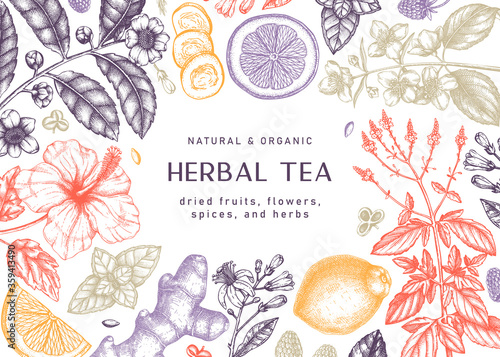 Hand sketched herbal tea ingredients frame design. Botanical illustrations of herbs and fruits. Perfect for recipe, menu, label, icon, packaging, Summer tea background