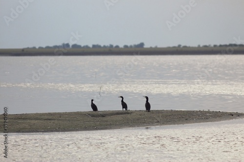 Lebedivka, Odessa Region, Ukraine photo