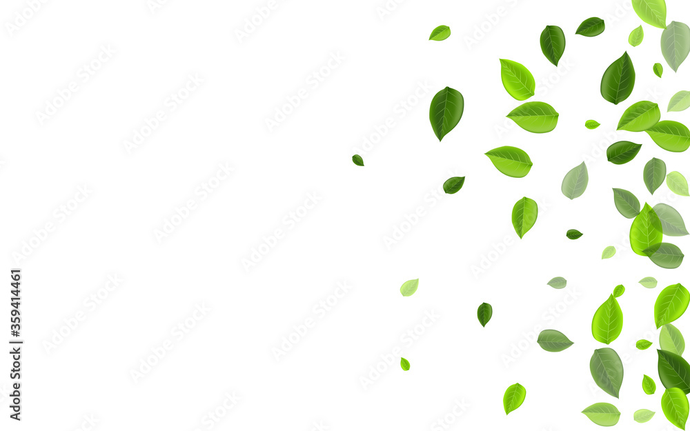 Green Leaves Wind Vector Border. Spring Foliage Green Leaves Wind Vector Border. Spring Foliage